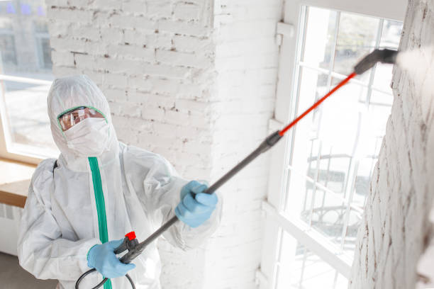 Mold Remediation for Vacation Homes in Lakeside, OR